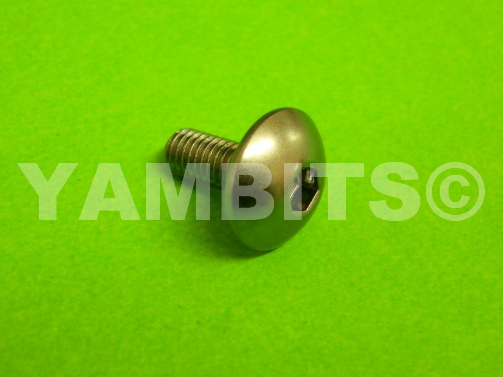 RD500 Fairing Panel Bolt