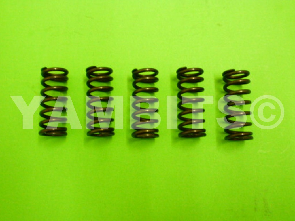 DT175MX Clutch Spring Kit