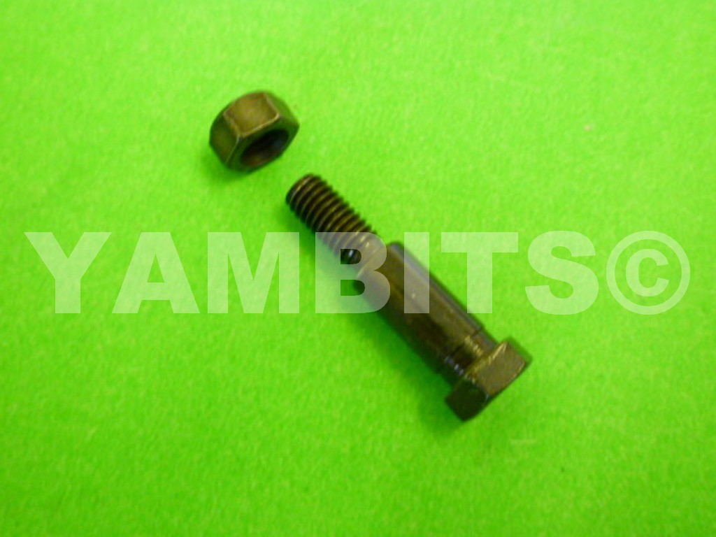 RD350LC Brake Lever Pivot Bolt