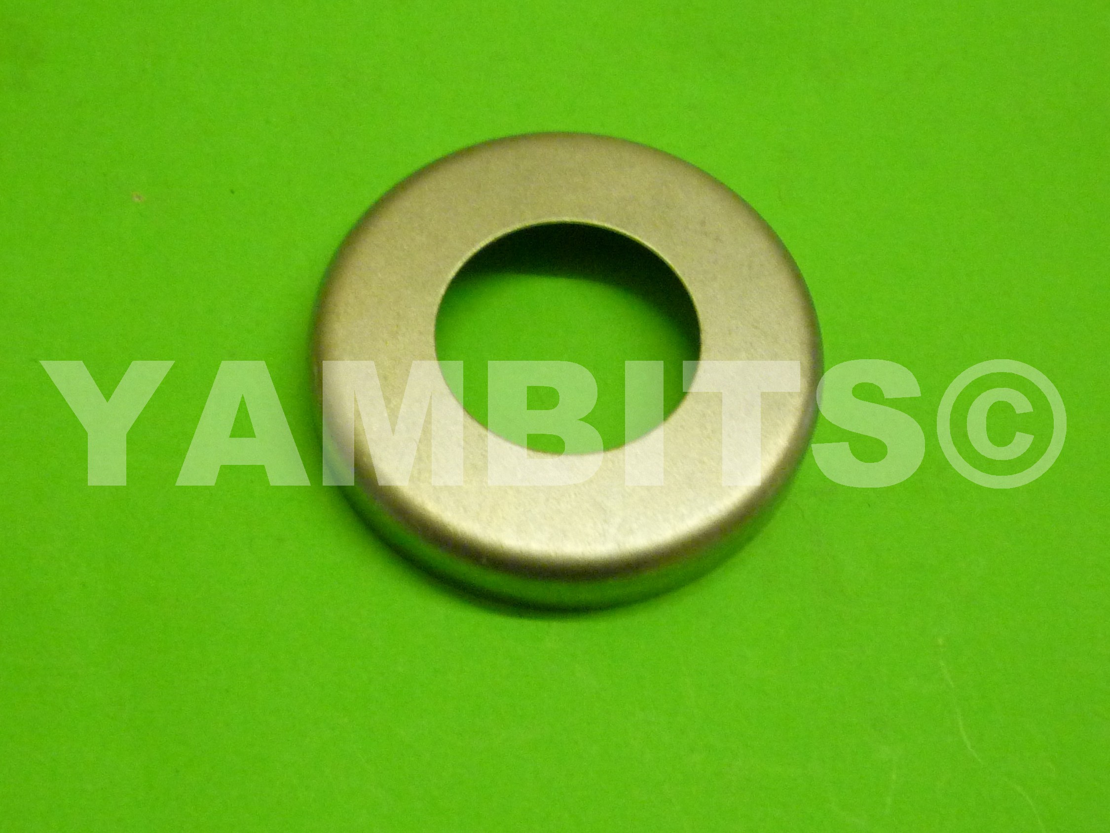 DT100 Steering Bearing Cover
