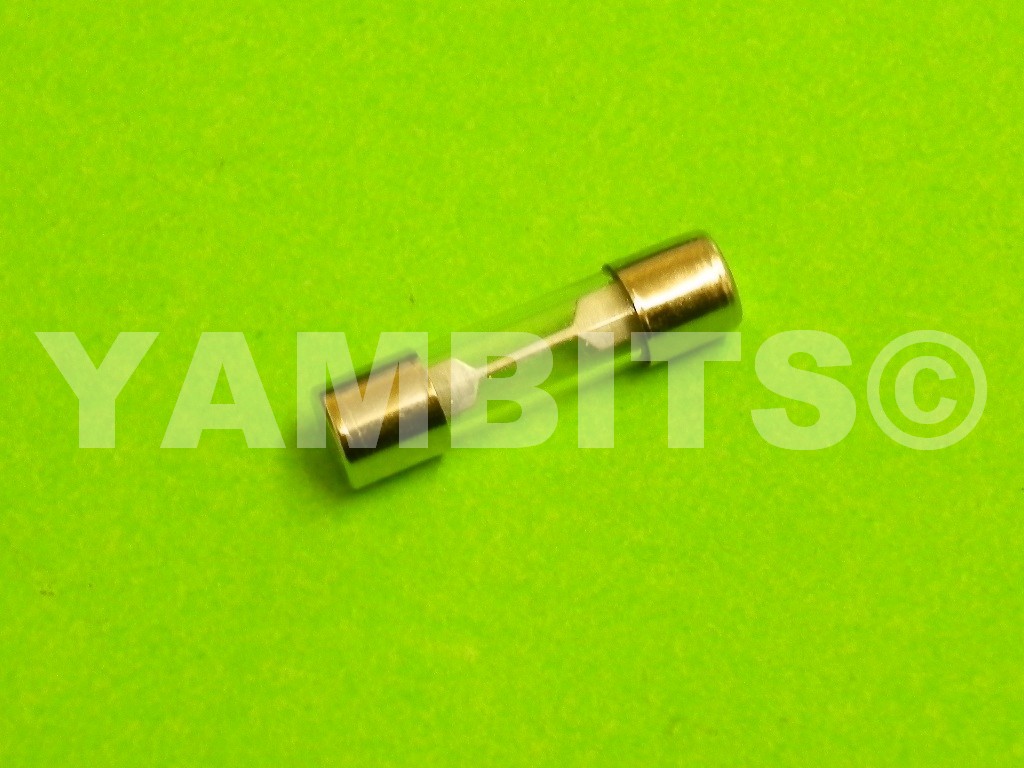 Fuse 25mm Glass 10 Amps
