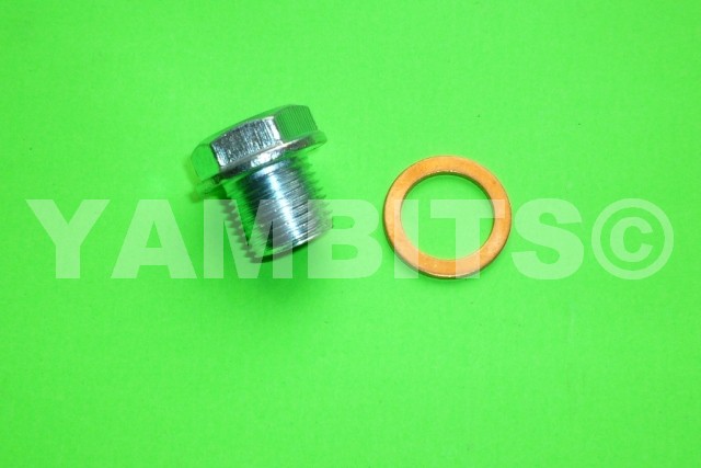 DT250 Gearbox Drain Plug & Washer