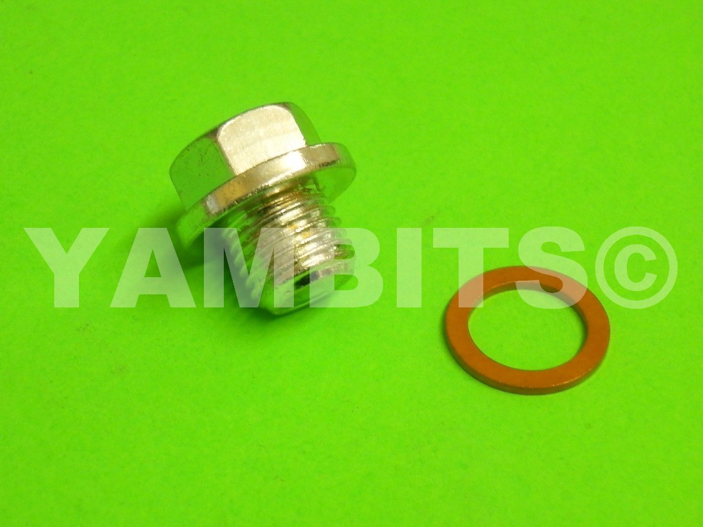 RD250F Gearbox Drain Plug & Washer