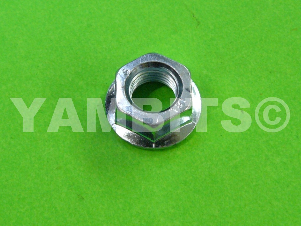 TZR250 Flywheel / Generator Nut