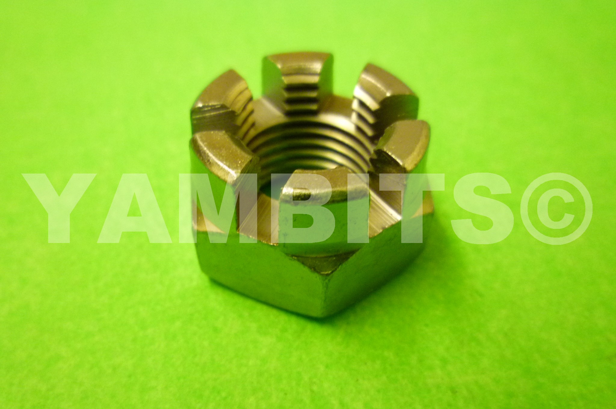 DT100 Spindle Nut Rear