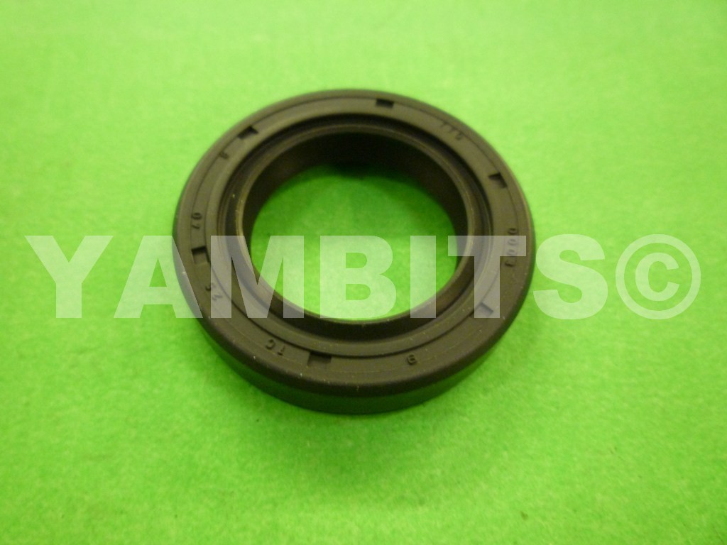 DT125 Crank Oil Seal L/H