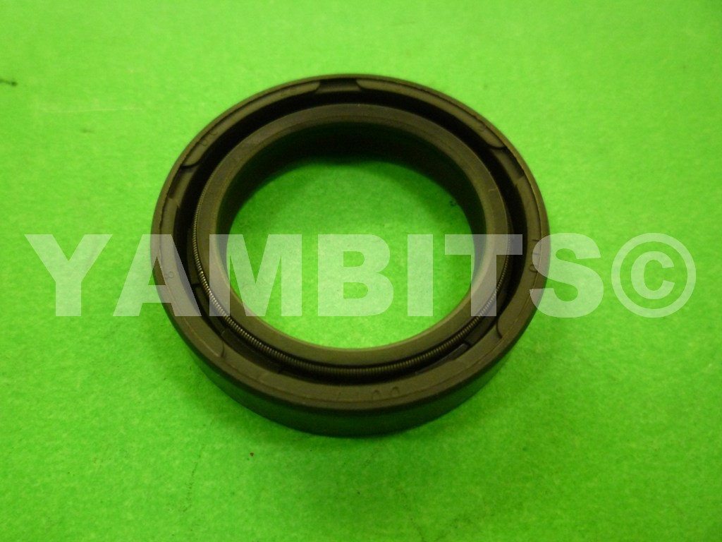 DT125 Crank Oil Seal R/H