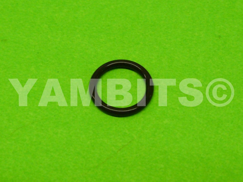 RZ500 Thermostat Housing O-Ring