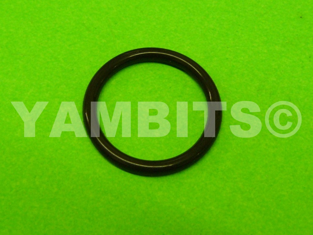 RZ500 Water Pump Elbow O-Ring