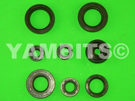 DT125LC MK1 Engine Oil Seal Kit