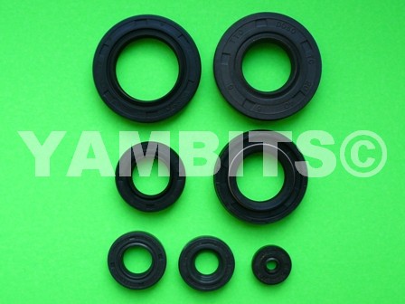 DT50M Engine Oil Seal Kit