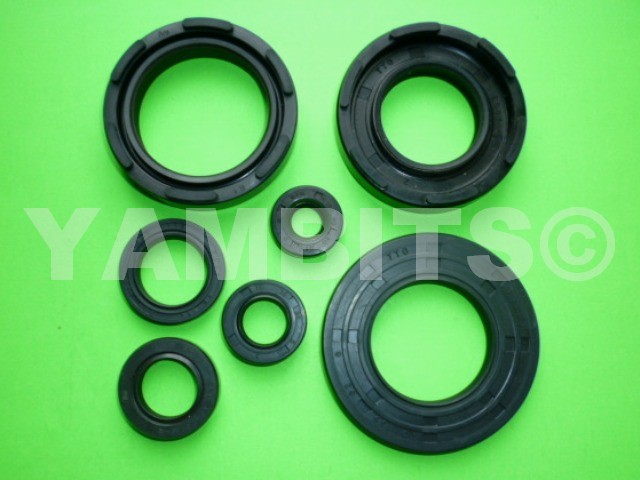 DT400 Engine Oil Seal Kit