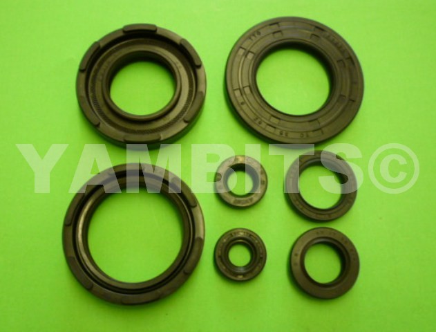 DT250MX Engine Oil Seal Kit