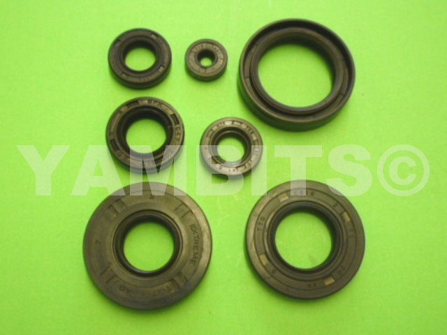 DT50MX Engine Oil Seal Kit