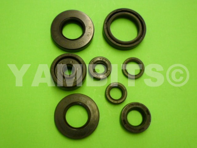 DT80LC Engine Oil Seal Kit
