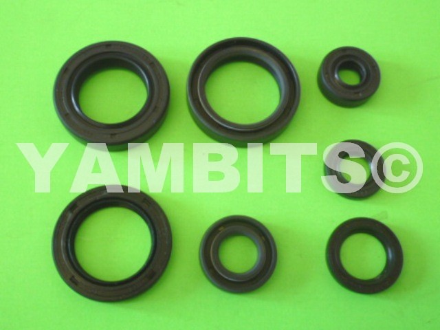 DT175 Engine Oil Seal Kit