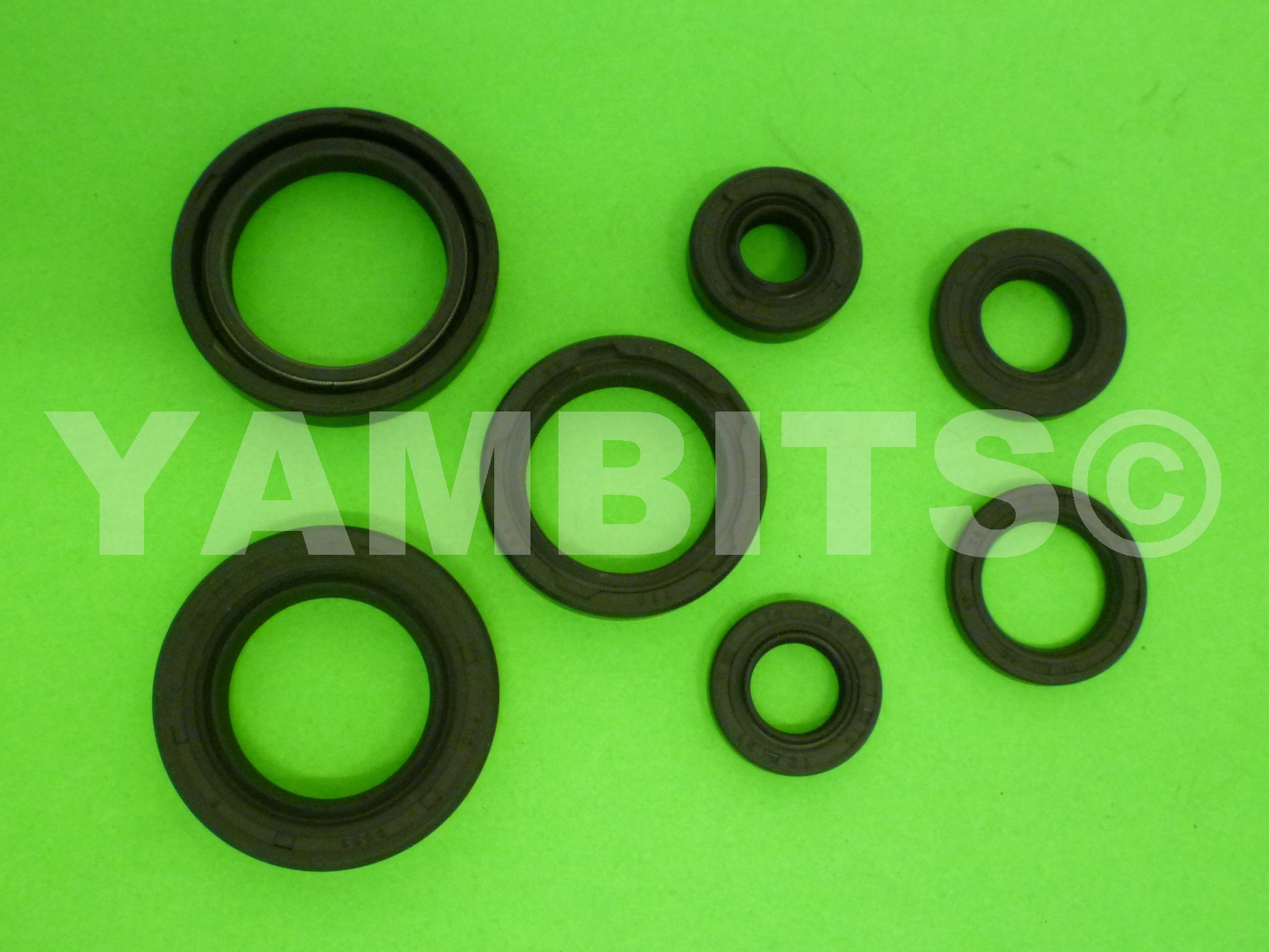 DT125 Engine Oil Seal Kit