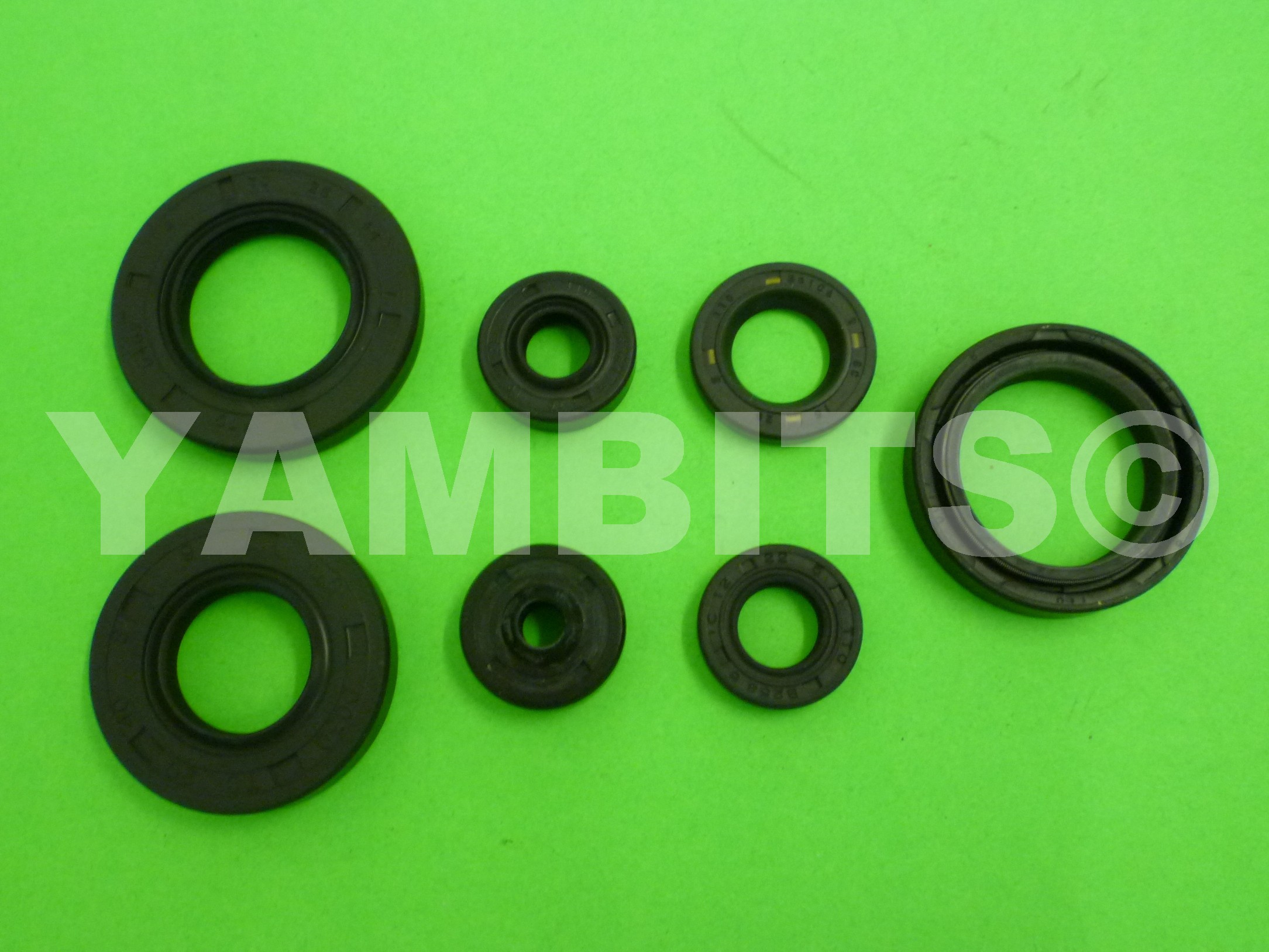 RD125 & DX Engine Oil Seal Kit