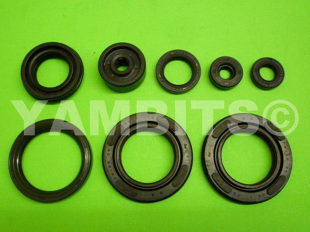 RD500 Engine Oil Seal Kit