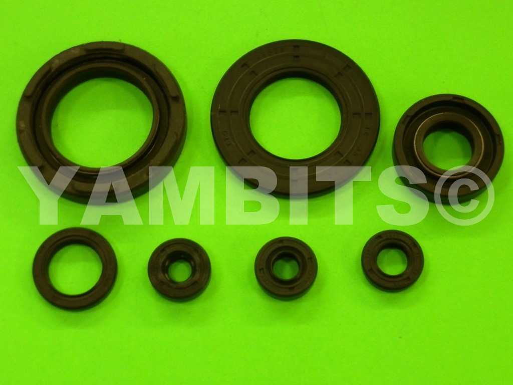 Engine Oil Seal Kit