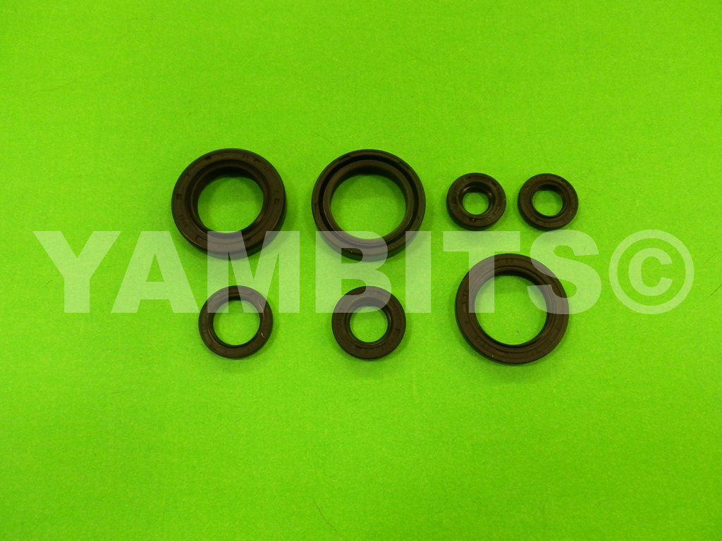 DT125 Engine Oil Seal Kit