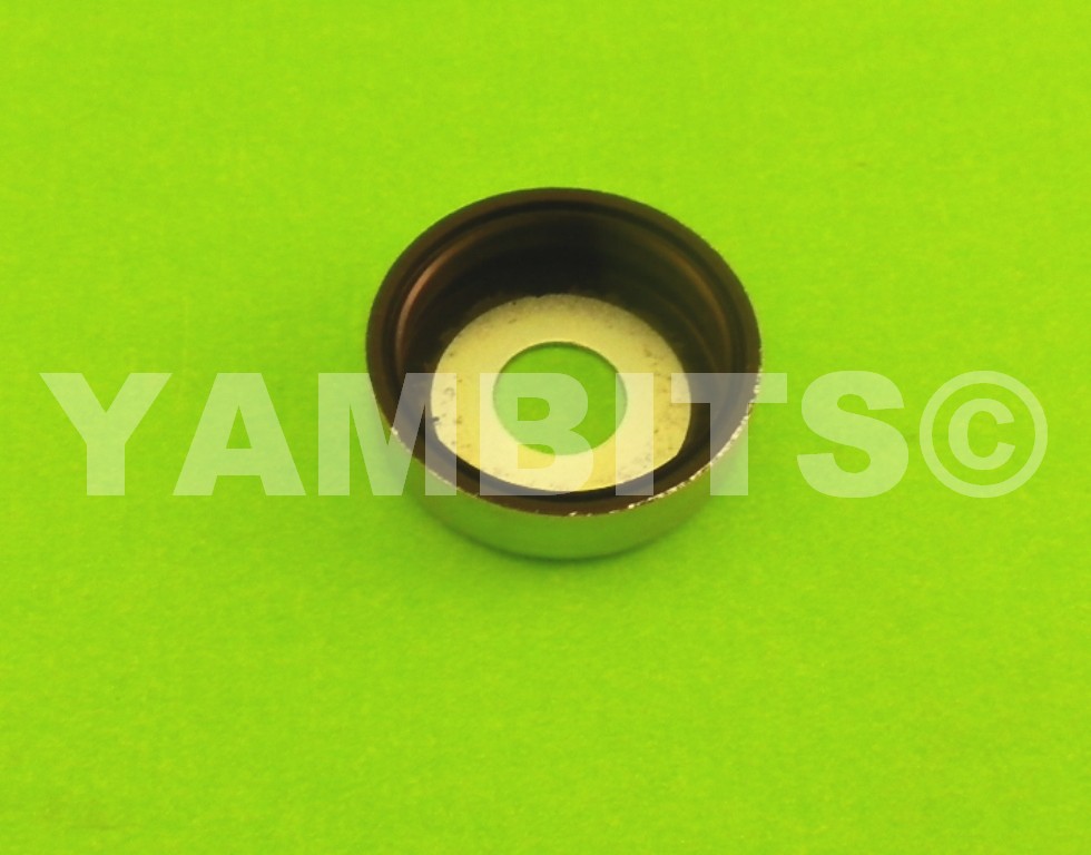 FZ600 Swing Arm Thrust Cover