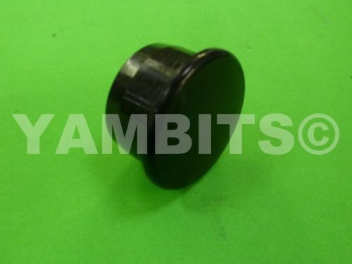 FS1 Swing Arm Blanking Plug
