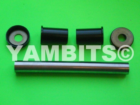 DT100 Swing Arm Repair Kit