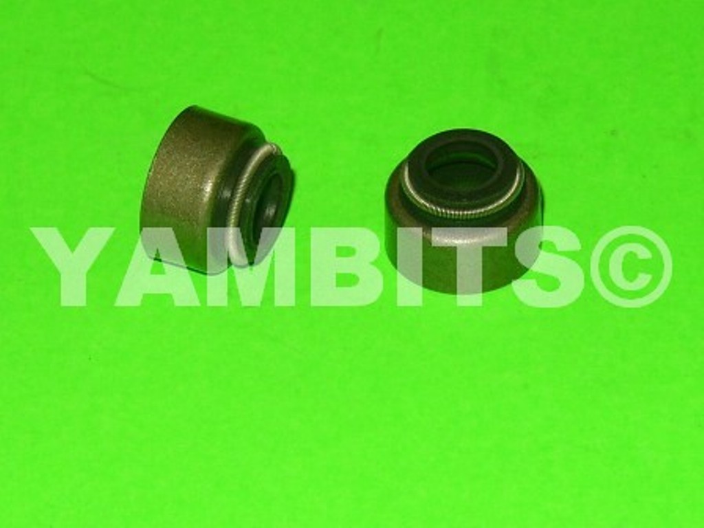 SR500 Valve Stem Oil Seals