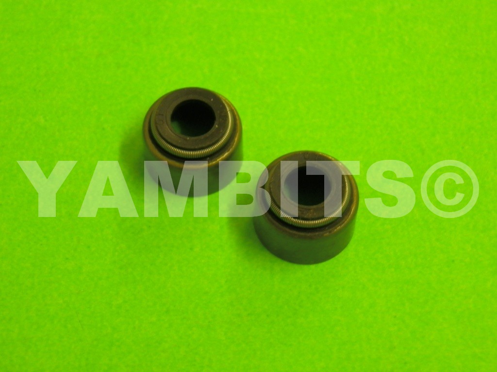 SR250SE Valve Stem Oil Seals