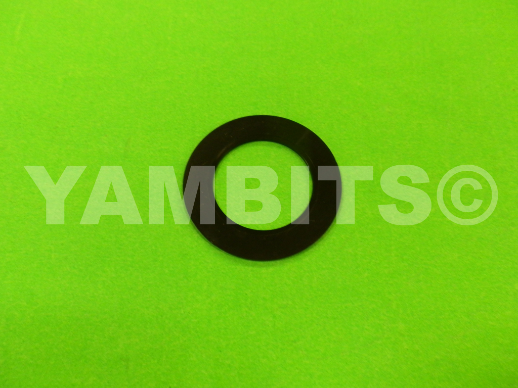 DT125LC MK3 Throttle Tube Washer