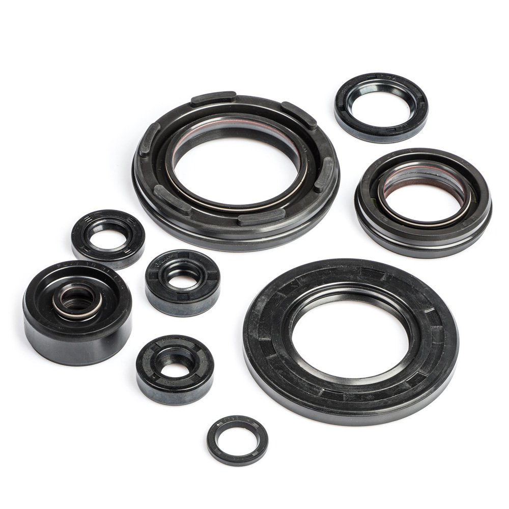 RD250LC Engine Oil Seal Kit