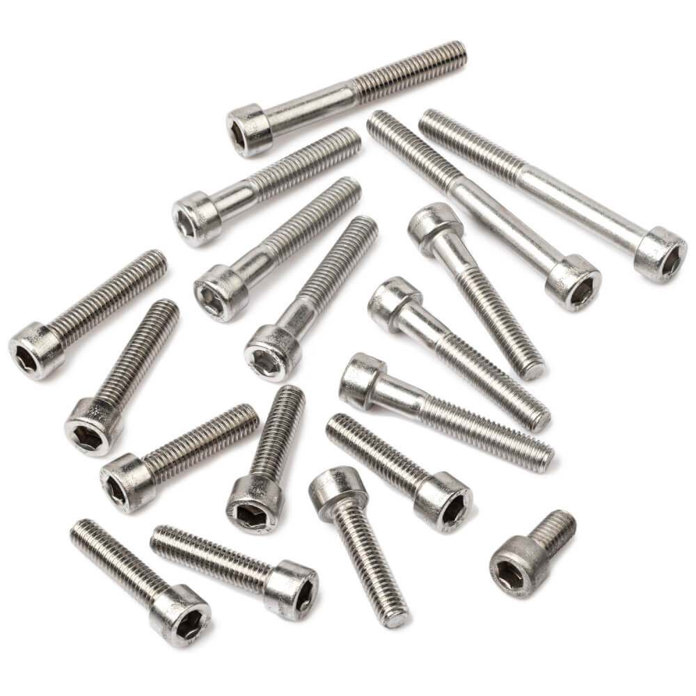 RXS100 Stainless Steel Engine Casing Screw Kit
