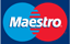 Maestro Payment logo