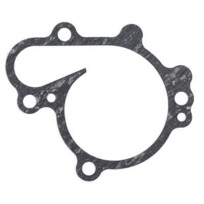 TZR250 Water Pump Gasket