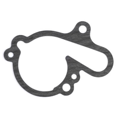 TZR125L Water Pump Gasket