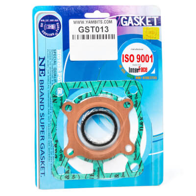 RX100 Gasket Set Top