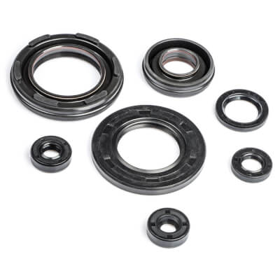 RD250 Engine Oil Seal Kit