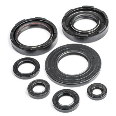 DT250 Engine Oil Seal Kit