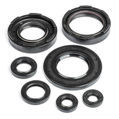 DT250MX Engine Oil Seal Kit