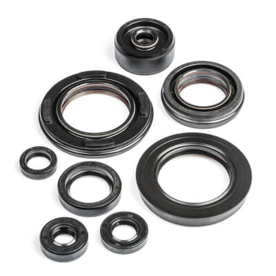 TZR250 Engine Oil Seal Kit