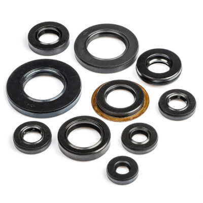 SR250SE Engine Oil Seal Kit
