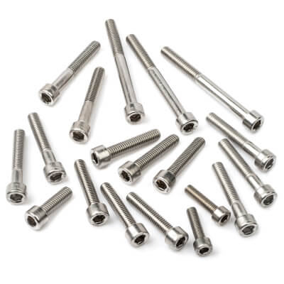 RD250 Stainless Steel Casing Screw Kit