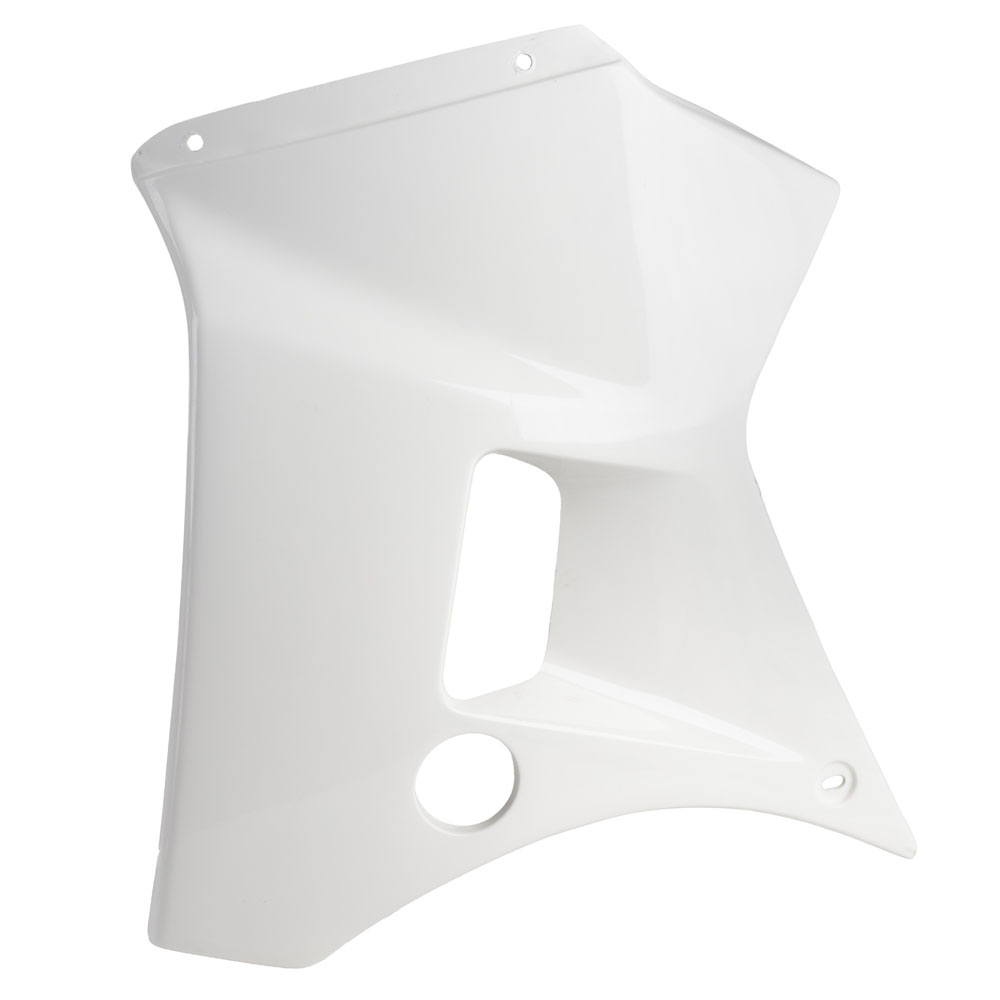 TDR250 Fairing Centre Panel L/H