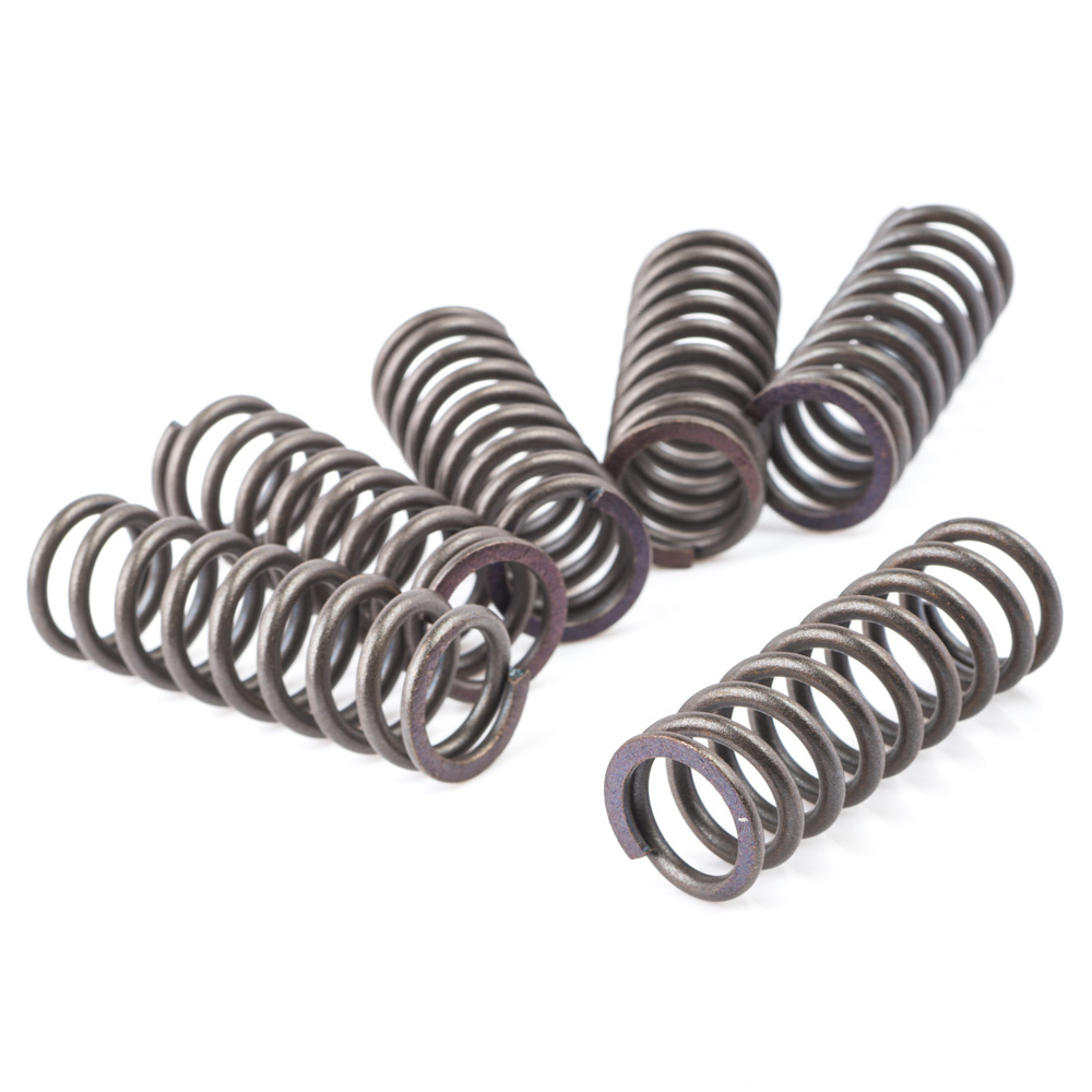 FZR1000 EXUP Clutch Spring Kit