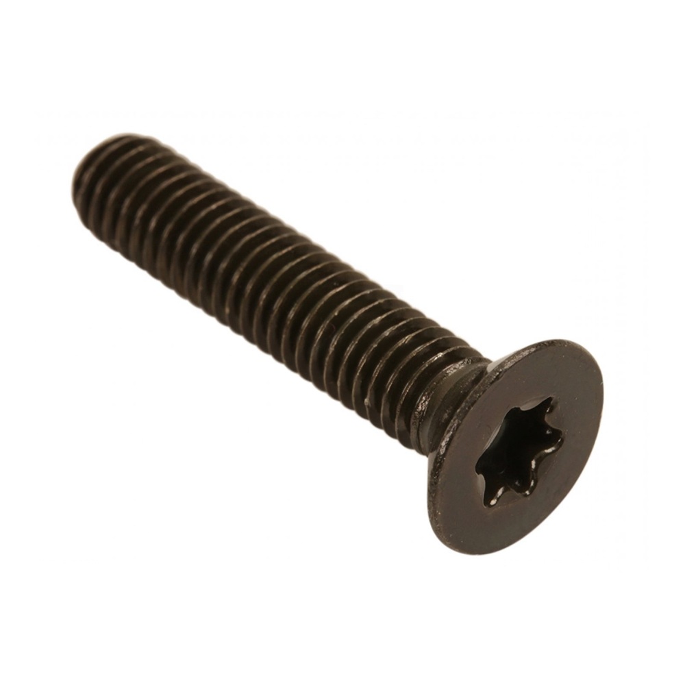 XV535 Virago Helmet Hanger Lock Mounting Screw