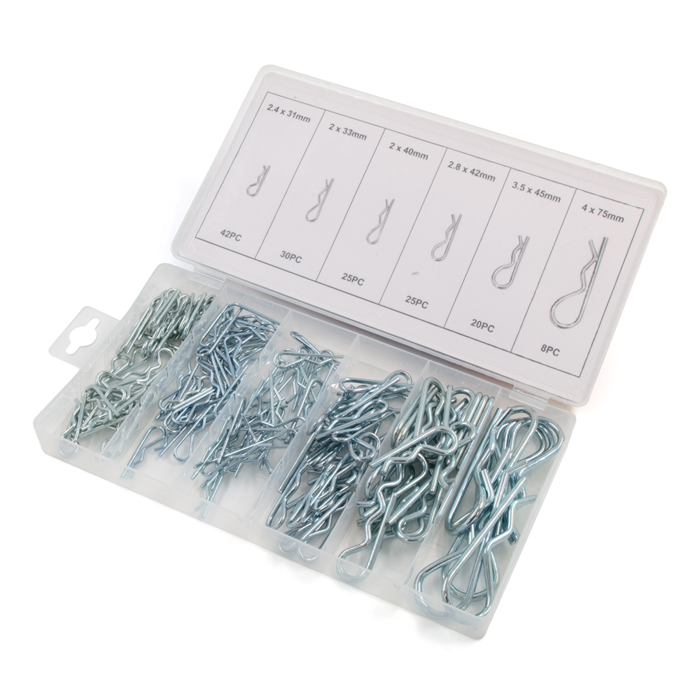 Assorted Pack Of R Clips