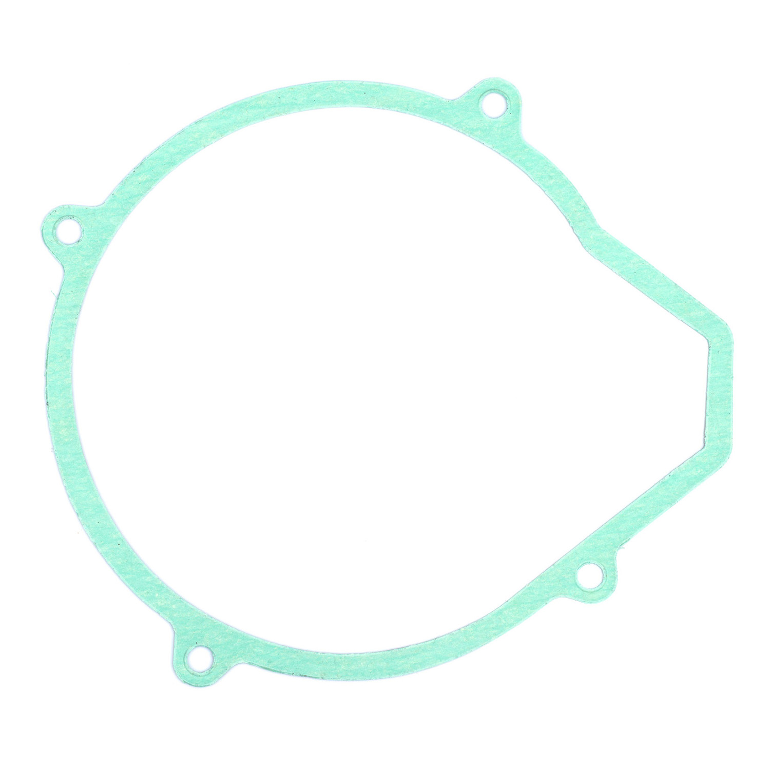 TDR250 Generator Cover Gasket