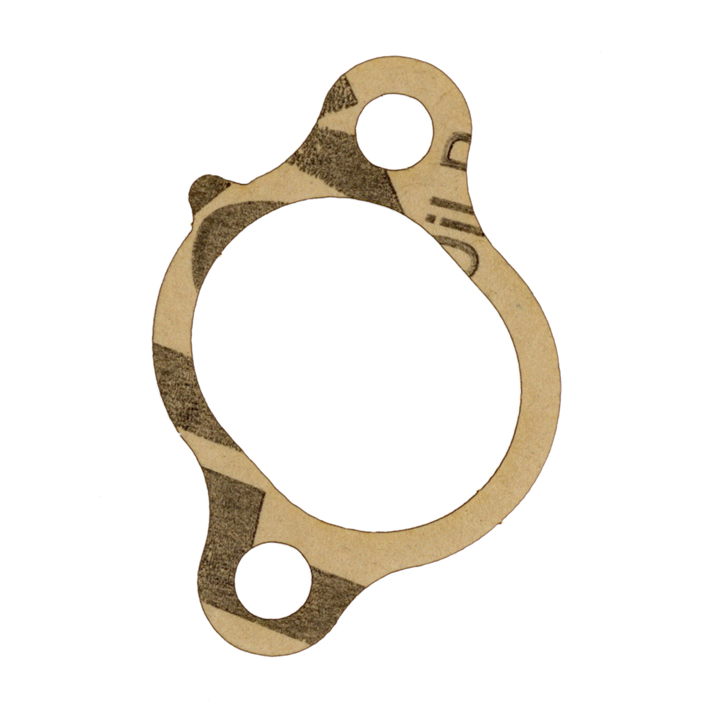 FZS600SP Fazer Cam Chain Tensioner Gasket