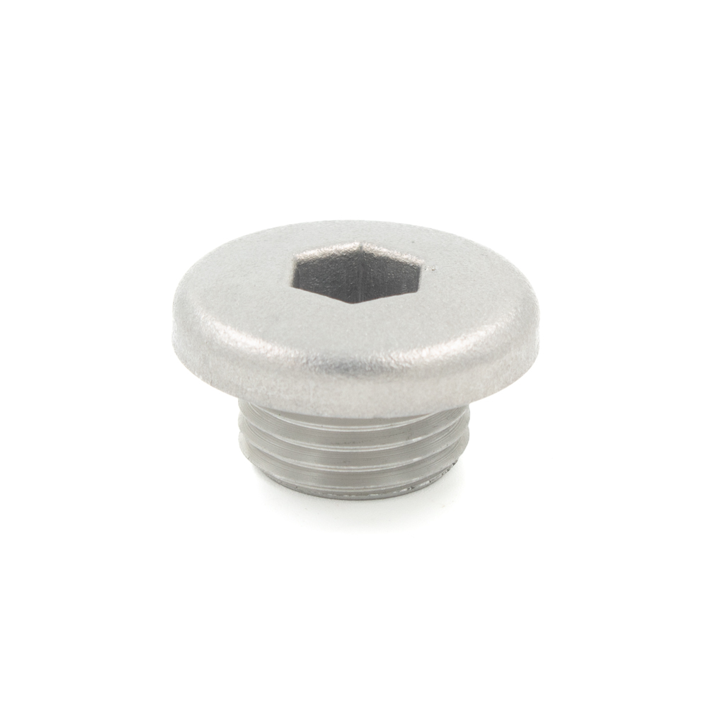 XJR1300 Oil Gallery Plug